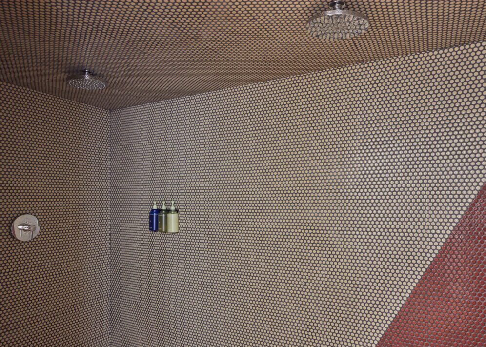 a red and grey tiled shower