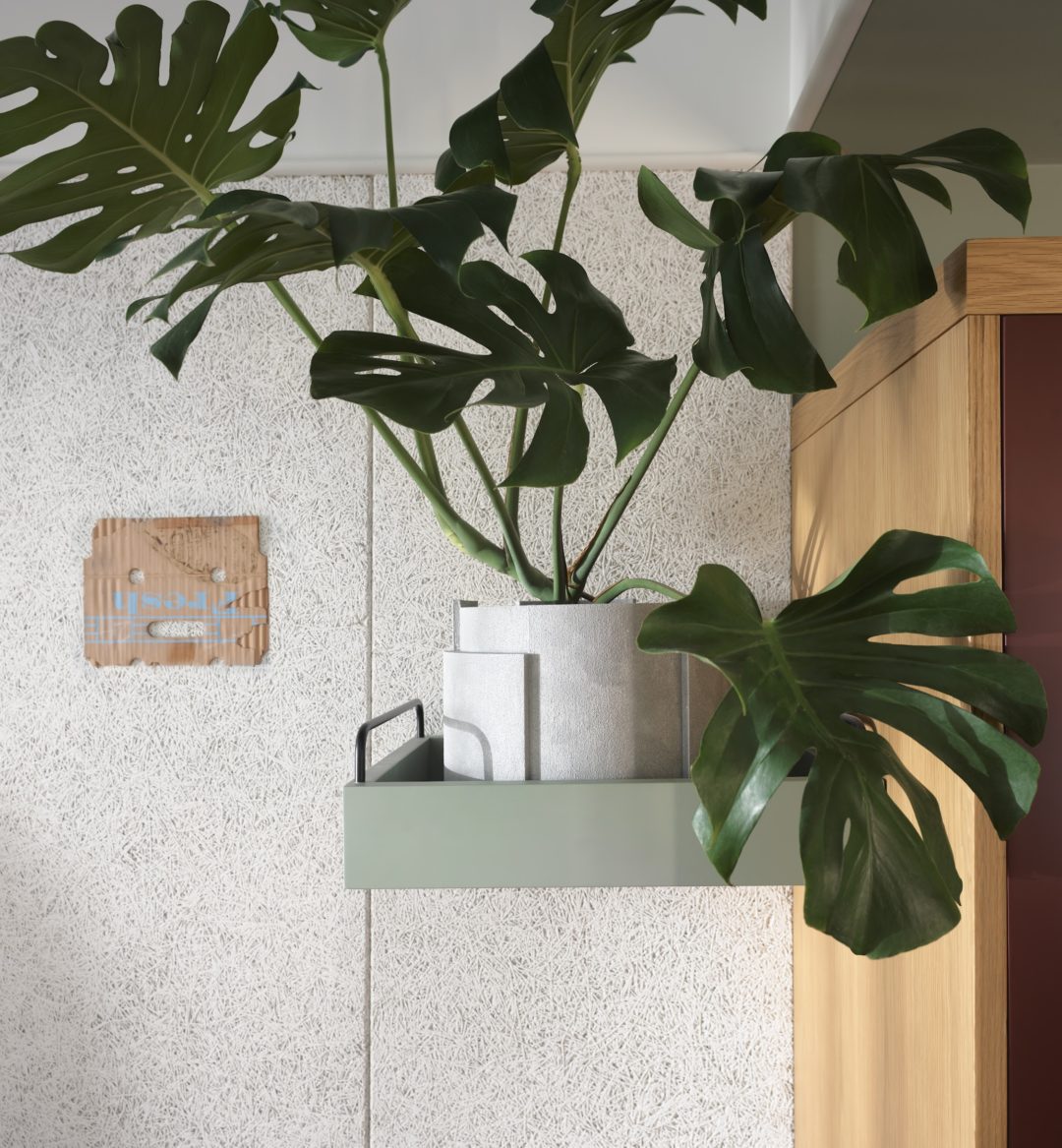 A plant sits in the room providing greenery and a connection to nature indoors